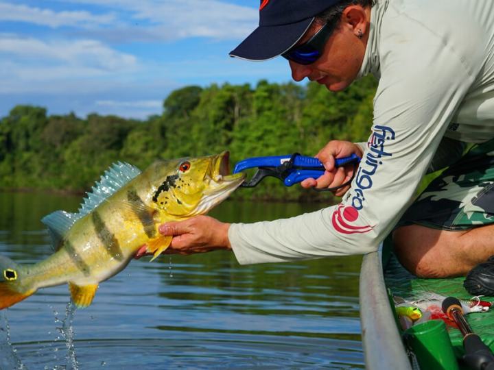 TopAlt – Torneio de Tucunaré