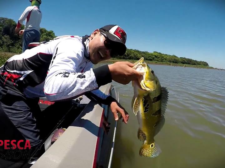 Pesca Esportiva