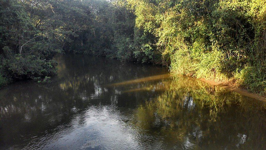 Foto de Igarapé Panelas