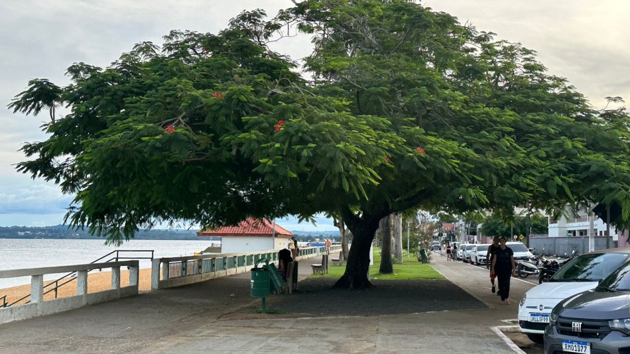 Foto de Orla do Cais de Altamira